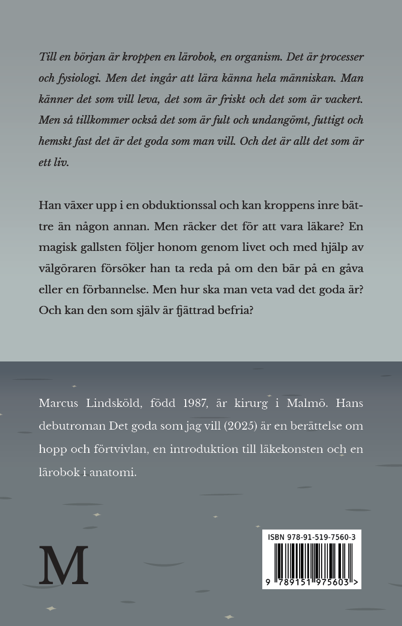 Det goda som jag vill - baksida